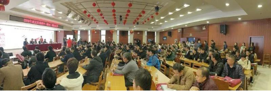 PA国际厅科技射频电刀